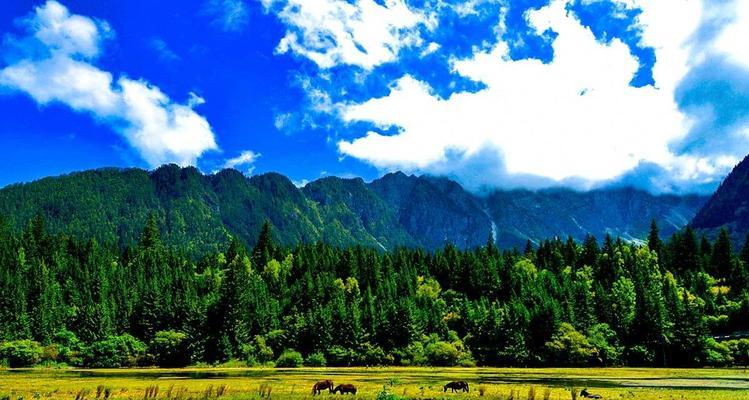 修复四年，九寨沟美丽全域再现（重现山川秀美）
