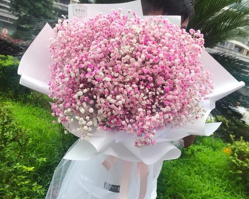 满天星花的传说与花语（探寻满天星花的历史与意义）
