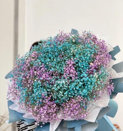 满天星花的传说与花语（探寻满天星花的历史与意义）