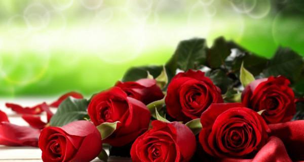 玫瑰花花语解析——不同朵数代表的含义（玫瑰花语中的数字之谜）