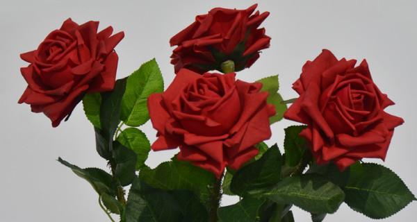 玫瑰花的寓意和象征意义（玫瑰花的几朵及其意义）