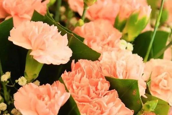 生病住院送花，这些你需要了解（如何选择适宜的送花方式和品种）
