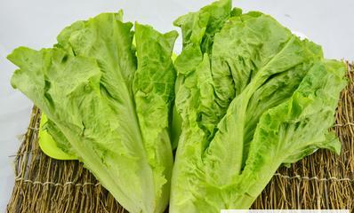 吃生菜需要注意的禁忌（生菜搭配禁忌大揭秘）