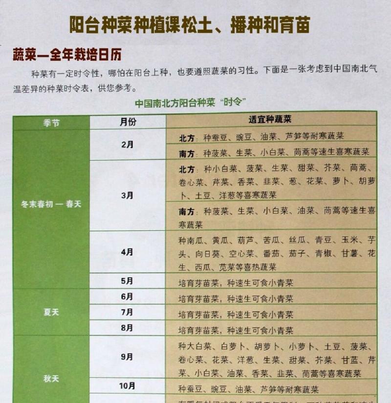 生菜种子发芽出苗时间及技巧（了解生菜发芽出苗的时间）