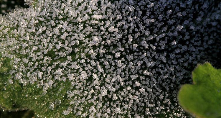 又是一股寒潮来袭（局地降温16℃以上）
