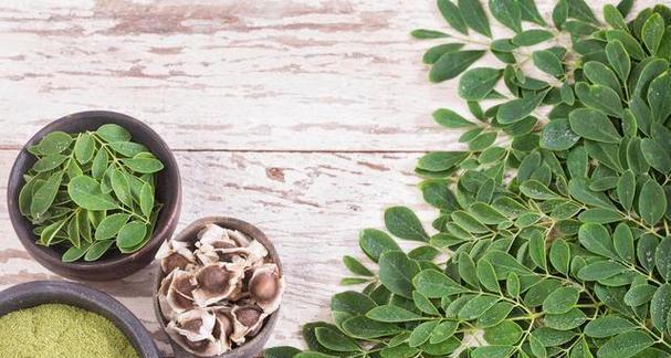 辣木籽是什么植物？有哪些健康益处和常见问题解答？