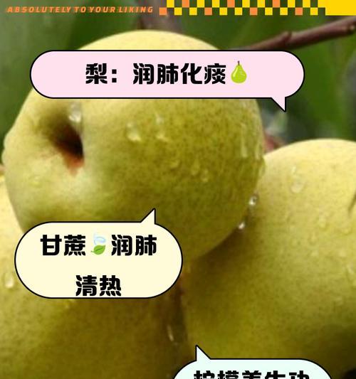 哪些植物具有清肺的功效？如何利用这些植物改善空气质量？
