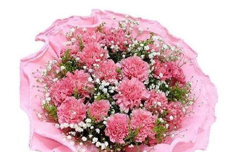 粉色康乃馨的花语是什么？它通常用来表达什么样的情感？