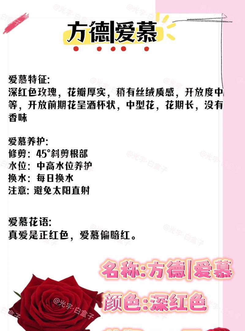 五朵红玫瑰花的花语是什么？