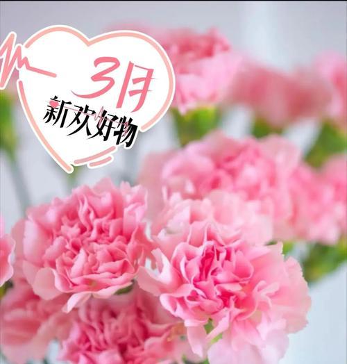 送康乃馨时应该了解的含义是什么？