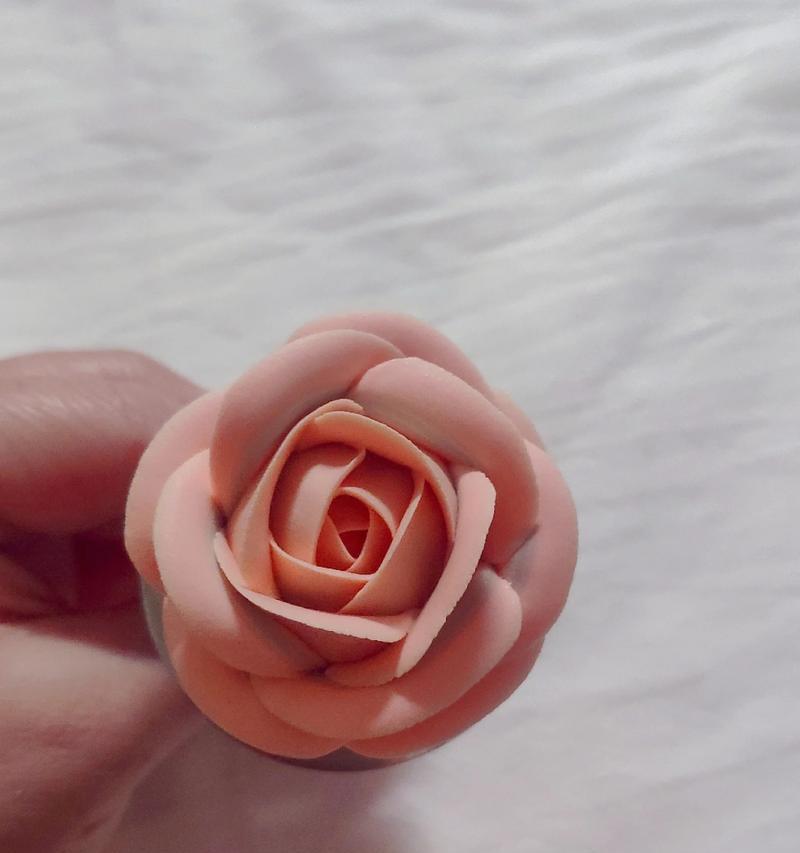 玫瑰花哪些花瓣需要撕掉？撕掉花瓣对玫瑰花有何影响？