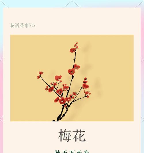 梅花的花语寓意是什么？它在中国文化中代表了什么？