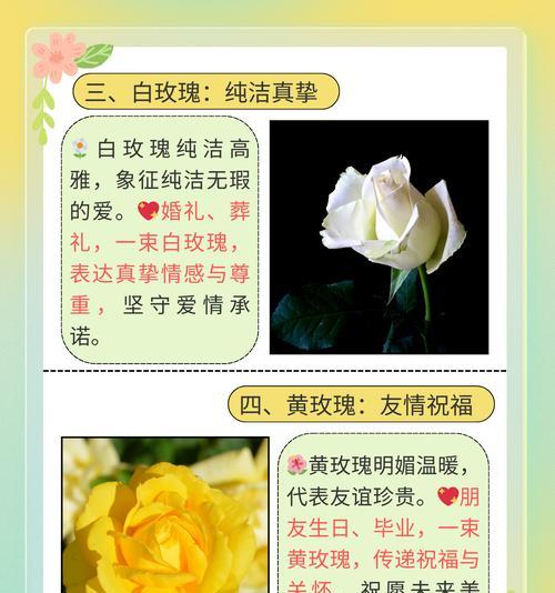 哪种花的花语代表着深情？它的寓意是什么？