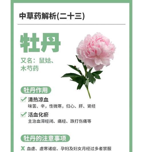 牡丹花的养殖技巧有哪些？如何使其开花？