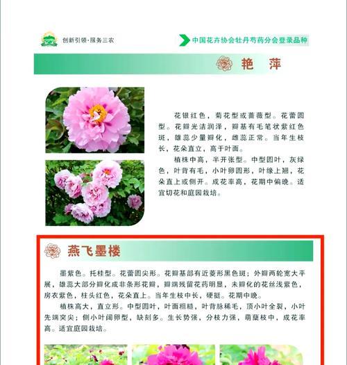 牡丹花难养活的原因及促进开花的方法？