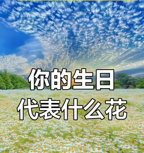 生日花语有哪些？各自寓意着什么？