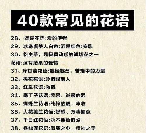 深情花语的花有哪些？