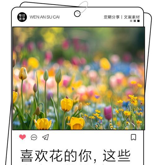 小确幸幸福玫瑰的花语代表什么？幸福玫瑰花语有何寓意？