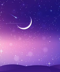 星空紫色玫瑰花的含义是什么？星空紫色玫瑰花代表什么？