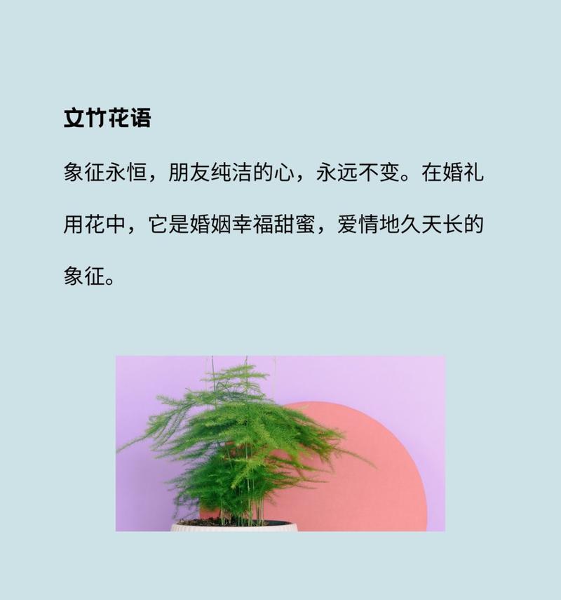 文竹不同颜色的花语有何不同？它们各自代表了什么？