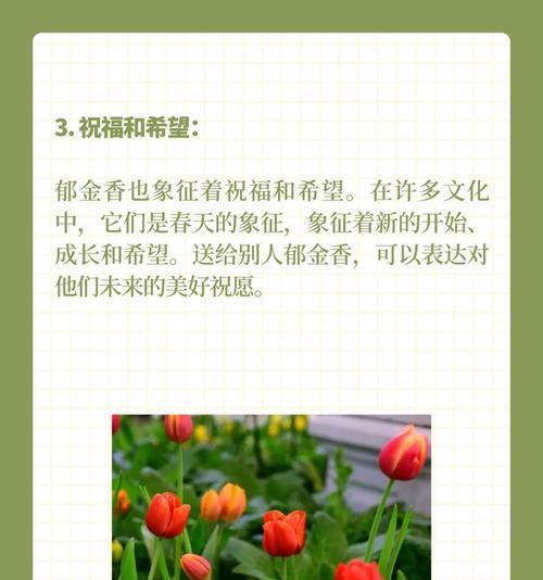 郁金香的花语有何不为人知的含义？郁金香代表的祸害是什么？