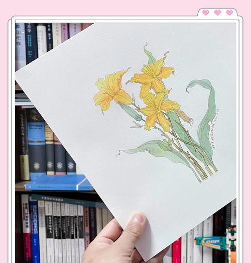 哪种花的花语象征着遗忘过去？