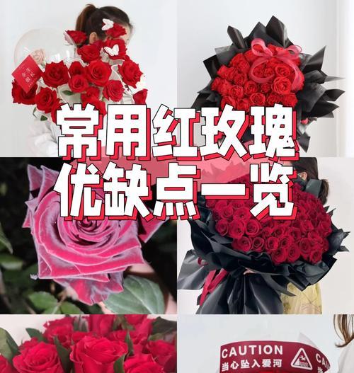 法国红玫瑰的花语代表什么？如何挑选？