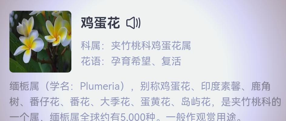 哪种花代表希望与生命？希望与生命花语的含义是什么？