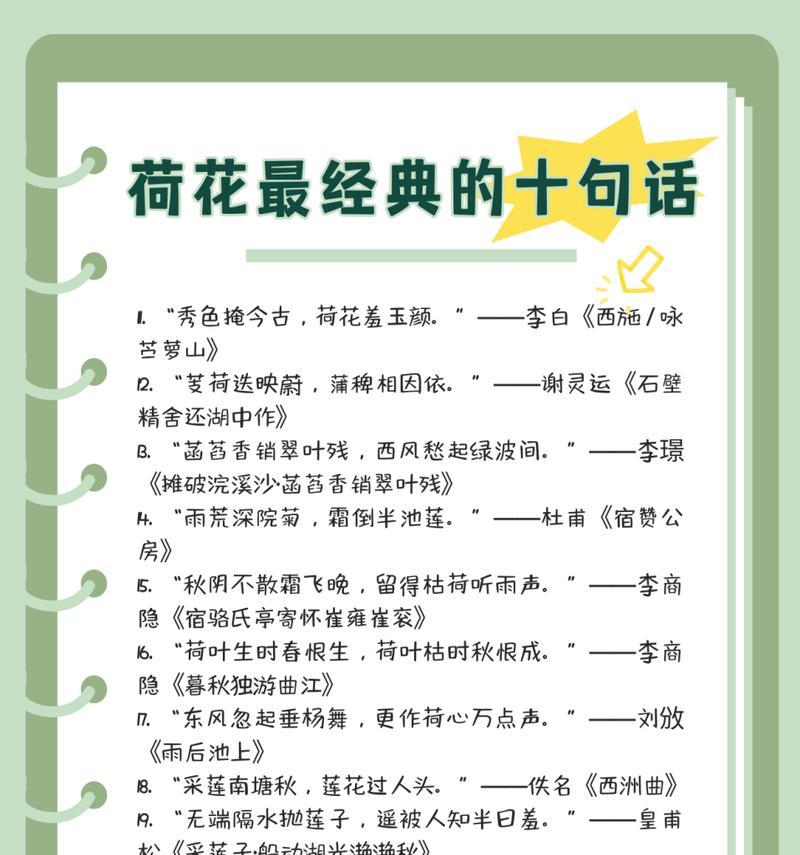 荷花的花语有哪些美好的寓意？