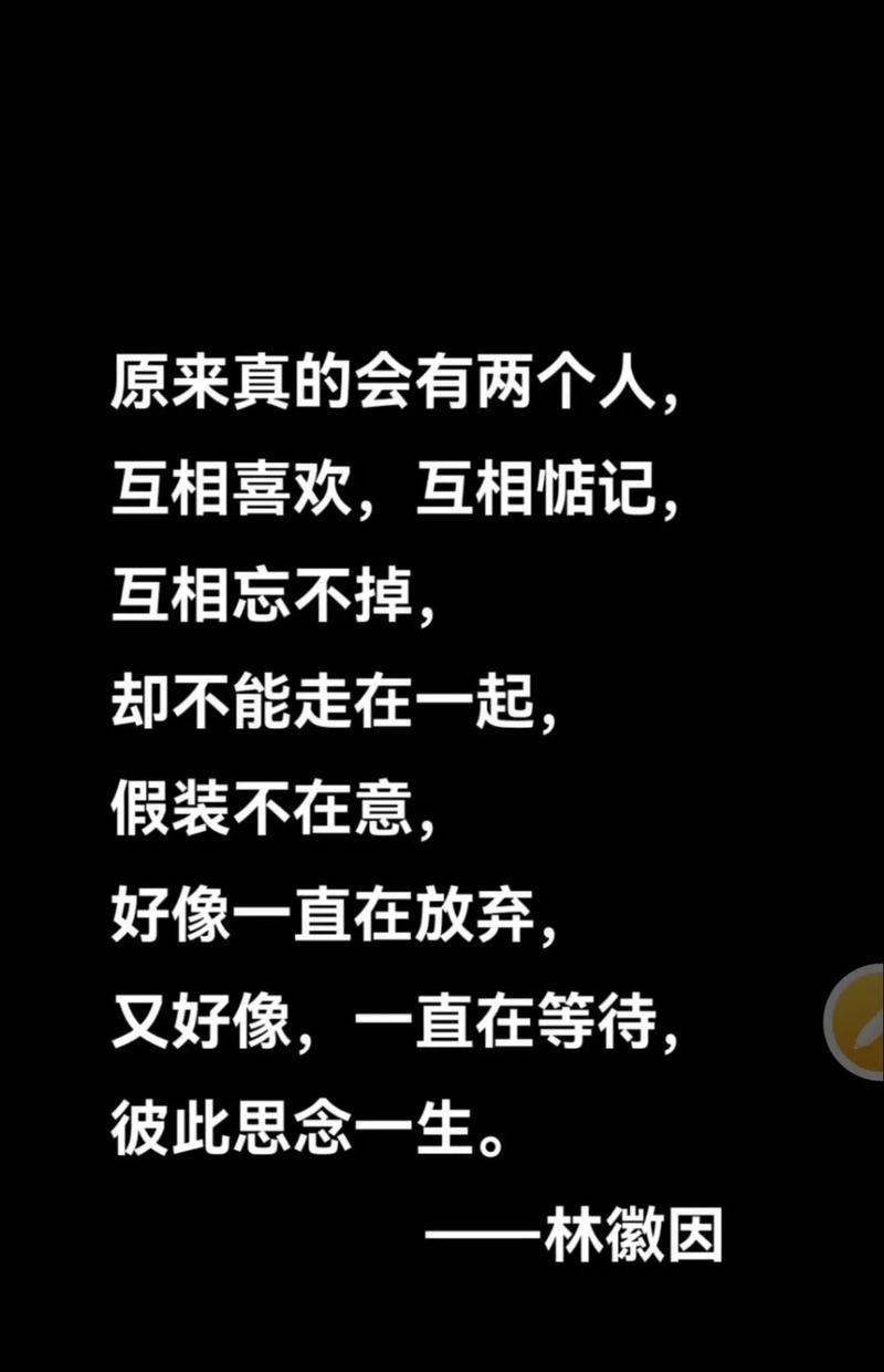 爱你的人拍的花语代表什么？它传达了怎样的情感？