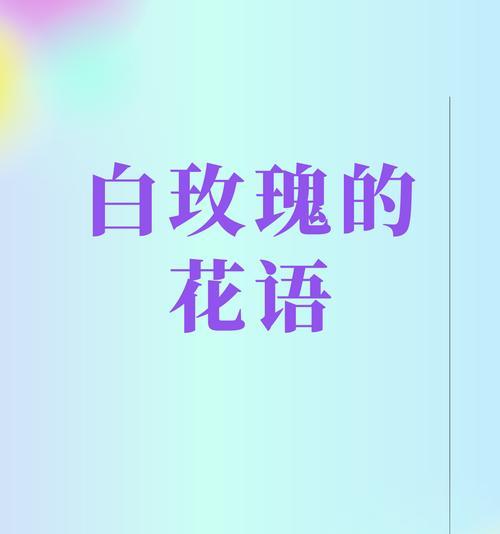 爱你的人拍的花语代表什么？它传达了怎样的情感？