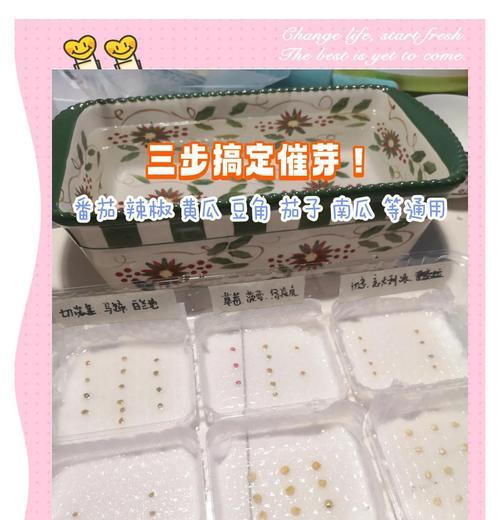 如何掌握催芽技巧？让蔬菜种子快速发芽的方法！