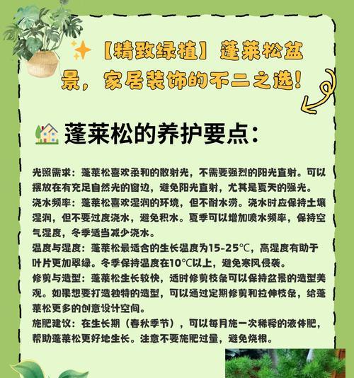蓬莱松特性与养护全解析？蓬莱松的生长环境和养护要点是什么？