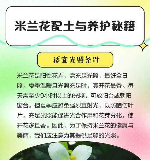 米兰花配土与养护秘籍？如何让米兰花更健康地生长？