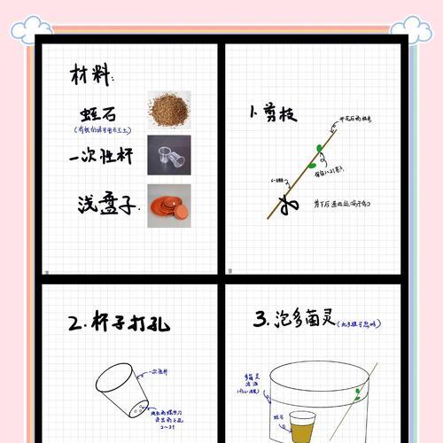 夏季扦插小妙招？如何在夏季更好地进行植物扦插？
