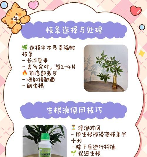 夏季扦插小妙招？如何在夏季更好地进行植物扦插？