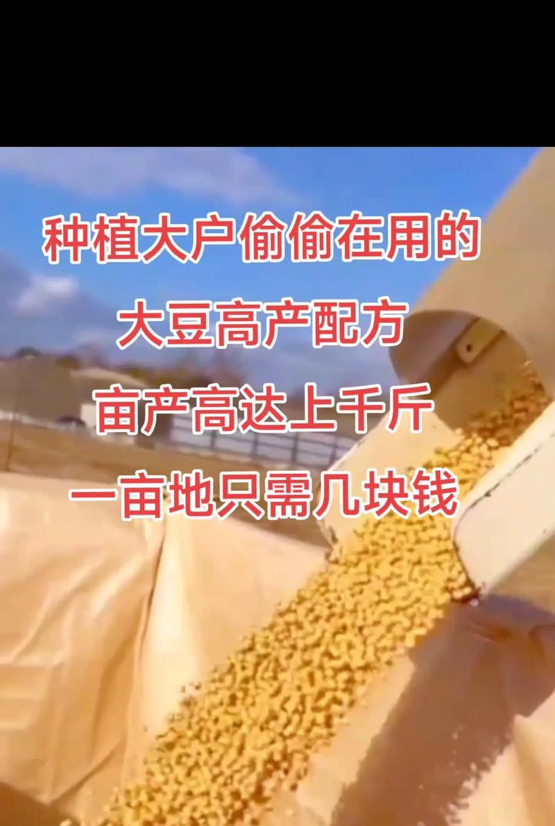 大豆如何高产？从播种到收获的全方位管理解析！