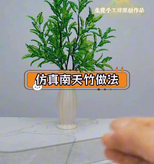 南天竹种子有哪些繁殖方法？如何扦插才能成功？