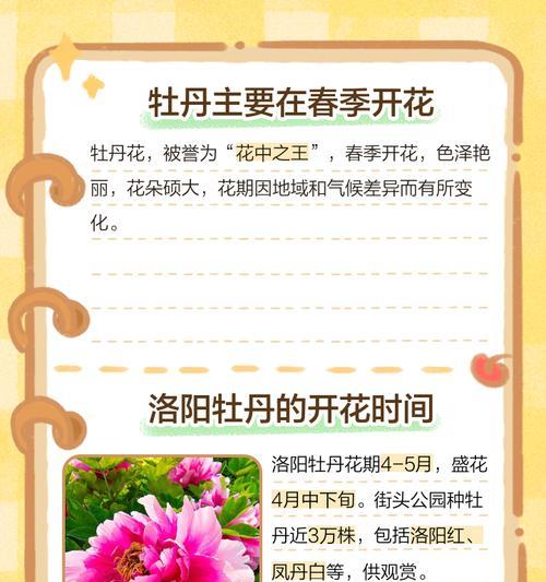 牡丹花中最名贵的品种是什么？探寻它们的秘密！