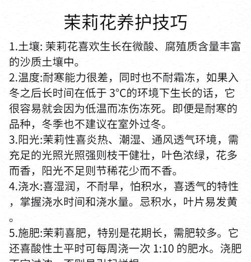 茉莉花种子怎么种？最佳种植时间和方法是什么？