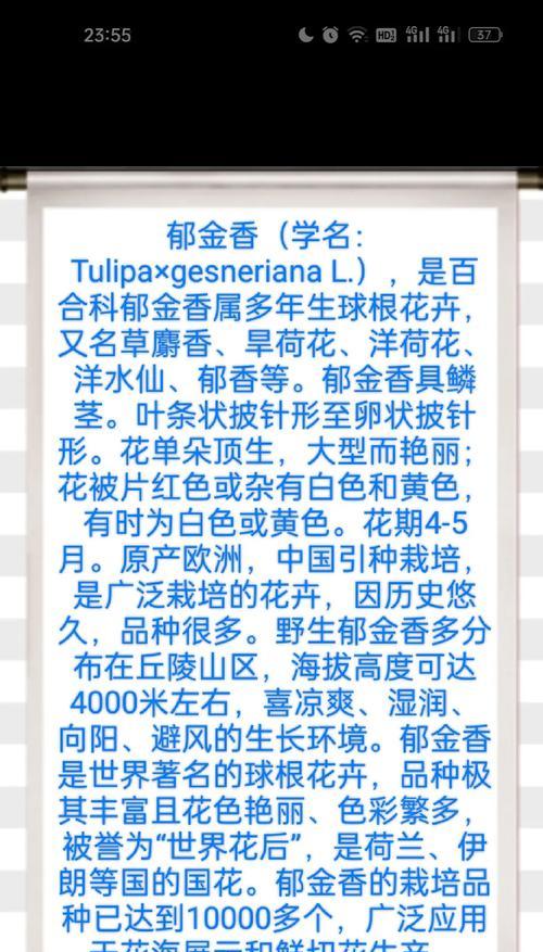 郁金香是多年生还是年生？春季花卉新知解答你的疑惑！