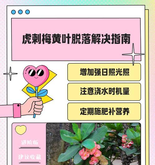 虎刺梅怎么养？养殖方法和注意事项全解析！