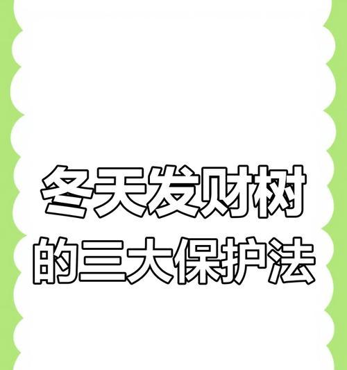 发财树养护秘籍？解决不开花问题的秘诀是什么