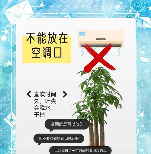 发财树养护秘籍？解决不开花问题的秘诀是什么