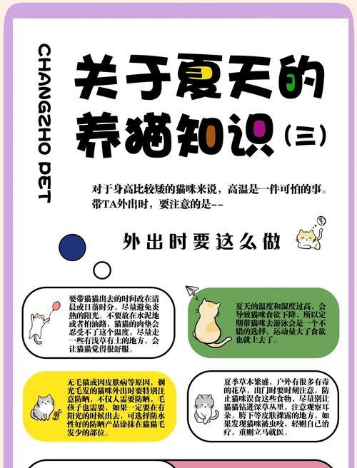 如何照顾不走运的猫仙人掌？