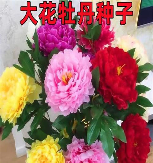 牡丹花盆的正确名称是什么？