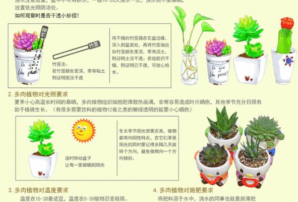 提高仙人球小籽扦插成活率的技巧？