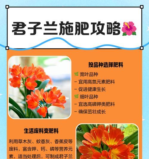 君子兰养鸡场的养殖方法是什么？