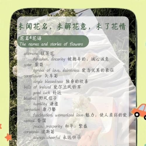 沼泽君子兰带暗杠品种有何特点？