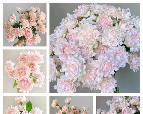 塑料玫瑰花苞的养护方法是什么？